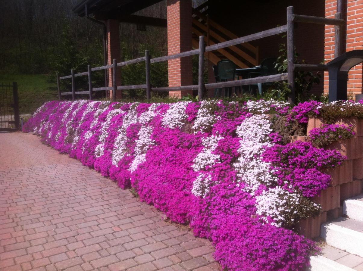 Agriturismo Altana Del Motto Rosso Gattico Экстерьер фото